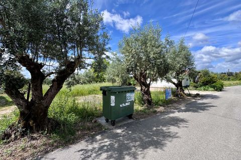 Helårsgrund i Tomar, Santarem, Tomar - € 40.000 | Ref: TL014 - foto 7