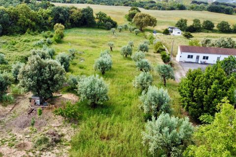 Helårsgrund i Tomar, Santarem, Tomar - € 40.000 | Ref: TL014 - foto 8