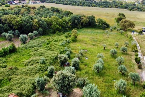 Helårsgrund i Tomar, Santarem, Tomar - € 40.000 | Ref: TL014 - foto 9