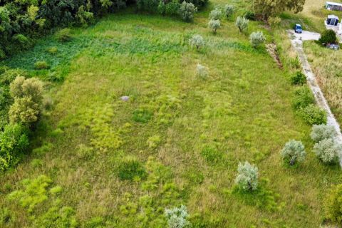 Helårsgrund i Tomar, Santarem, Tomar - € 40.000 | Ref: TL014 - foto 10