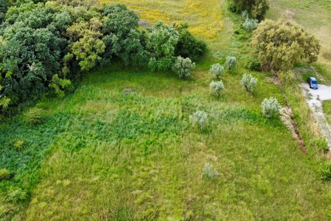 Helårsgrund i Tomar, Santarem, Tomar - € 40.000 | Ref: TL014 - foto 11