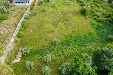 Helårsgrund i Tomar, Santarem, Tomar - € 40.000 | Ref: TL014 - foto 12