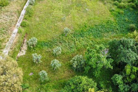 Helårsgrund i Tomar, Santarem, Tomar - € 40.000 | Ref: TL014 - foto 13