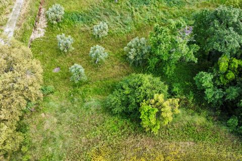 Helårsgrund i Tomar, Santarem, Tomar - € 40.000 | Ref: TL014 - foto 14