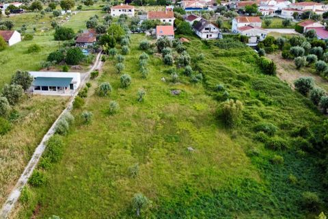 Helårsgrund i Tomar, Santarem, Tomar - € 40.000 | Ref: TL014 - foto 15
