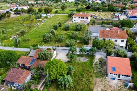 Helårsgrund i Tomar, Santarem, Tomar - € 40.000 | Ref: TL014 - foto 17