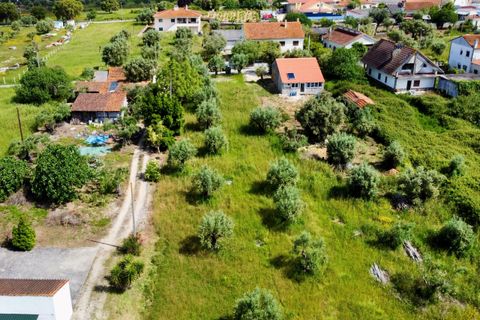 Helårsgrund i Tomar, Santarem, Tomar - € 40.000 | Ref: TL014 - foto 18