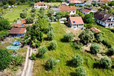 Helårsgrund i Tomar, Santarem, Tomar - € 40.000 | Ref: TL014 - foto 19