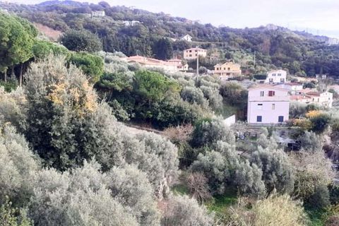 Villa i Cetraro, Cosenza, Cetraro - € 88.000 | Ref: 1212 - foto 2