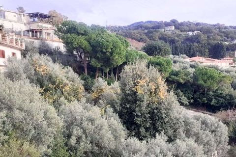 Villa i Cetraro, Cosenza, Cetraro - € 88.000 | Ref: 1212 - foto 3