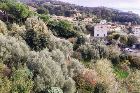 Villa i Cetraro, Cosenza, Cetraro - € 88.000 | Ref: 1212 - foto 4