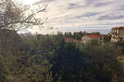 Villa i Cetraro, Cosenza, Cetraro - € 88.000 | Ref: 1212 - foto 7