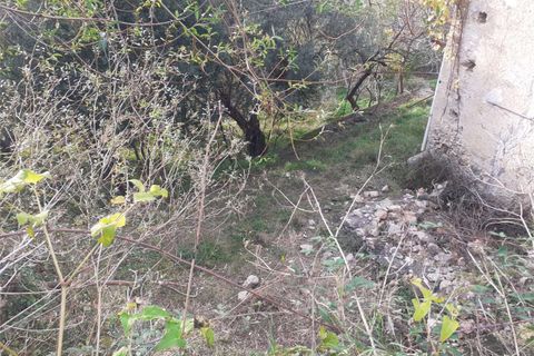Villa i Cetraro, Cosenza, Cetraro - € 88.000 | Ref: 1212 - foto 8