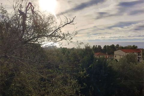 Villa i Cetraro, Cosenza, Cetraro - € 88.000 | Ref: 1212 - foto 9