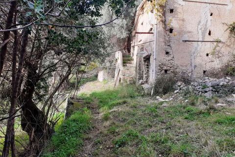 Villa i Cetraro, Cosenza, Cetraro - € 88.000 | Ref: 1212 - foto 11