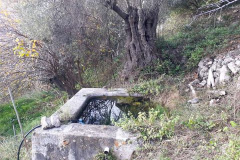 Villa i Cetraro, Cosenza, Cetraro - € 88.000 | Ref: 1212 - foto 15
