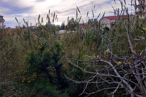Villa i Cetraro, Cosenza, Cetraro - € 88.000 | Ref: 1212 - foto 16