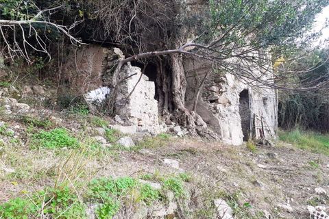 Villa i Cetraro, Cosenza, Cetraro - € 88.000 | Ref: 1212 - foto 17