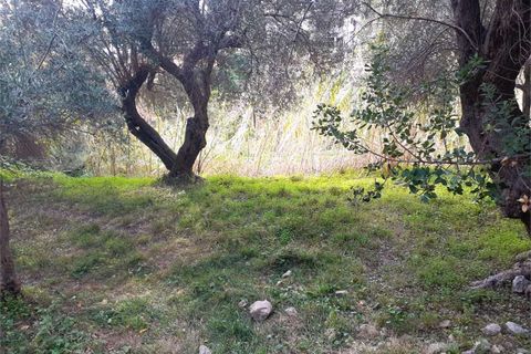 Villa i Cetraro, Cosenza, Cetraro - € 88.000 | Ref: 1212 - foto 18