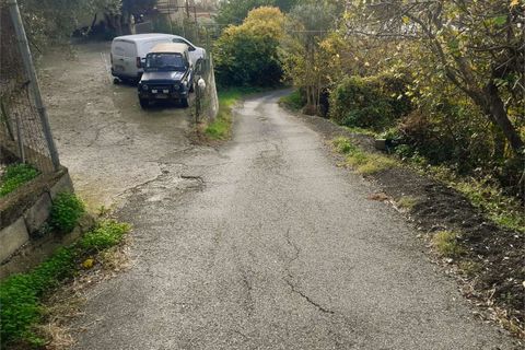 Villa i Cetraro, Cosenza, Cetraro - € 88.000 | Ref: 1212 - foto 19
