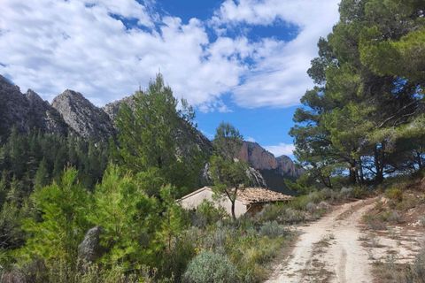 Terra a Benimantell, Alicante, Benimantell - € 540.000 | Ref: EXP09856/8930 - foto 3