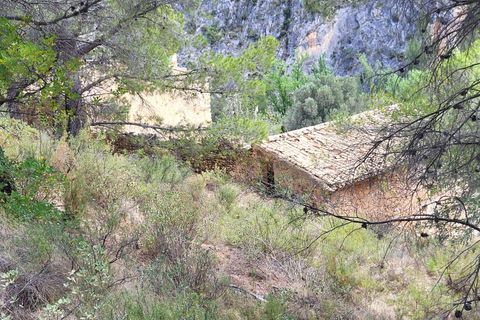 Terra a Benimantell, Alicante, Benimantell - € 540.000 | Ref: EXP09856/8930 - foto 4