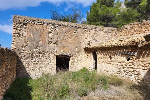Terra a Benimantell, Alicante, Benimantell - € 540.000 | Ref: EXP09856/8930 - foto 13