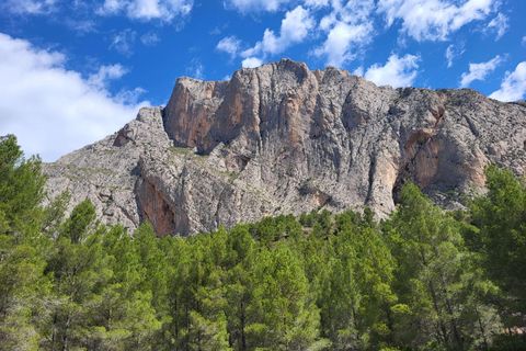 Terra a Benimantell, Alicante, Benimantell - € 540.000 | Ref: EXP09856/8930 - foto 19