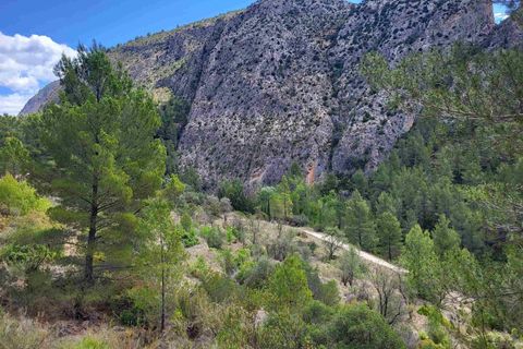 Terra a Benimantell, Alicante, Benimantell - € 540.000 | Ref: EXP09856/8930 - foto 21