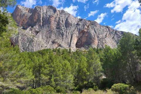 Terra a Benimantell, Alicante, Benimantell - € 540.000 | Ref: EXP09856/8930 - foto 22
