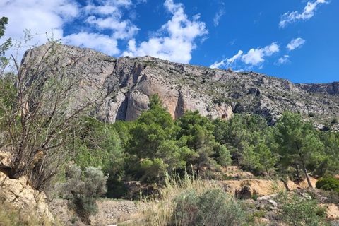 Terra a Benimantell, Alicante, Benimantell - € 540.000 | Ref: EXP09856/8930 - foto 24
