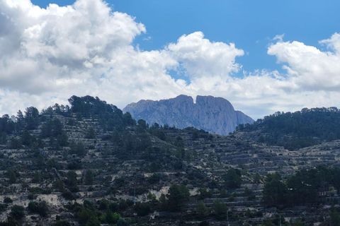 Terra a Benimantell, Alicante, Benimantell - € 540.000 | Ref: EXP09856/8930 - foto 26