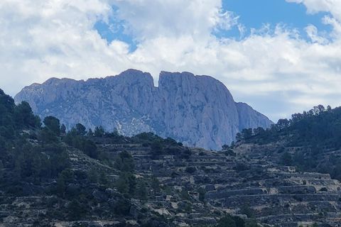 Terra a Benimantell, Alicante, Benimantell - € 540.000 | Ref: EXP09856/8930 - foto 27