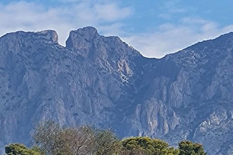 Terra a Benimantell, Alicante, Benimantell - € 540.000 | Ref: EXP09856/8930 - foto 28