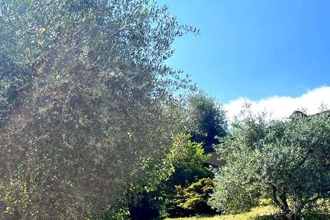 Villa a Baveno, Verbano Cusio Ossola, Baveno - € 950.000 | Ref: V000706 - foto 15