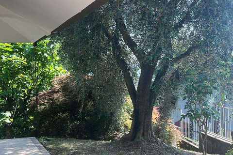 Villa a Baveno, Verbano Cusio Ossola, Baveno - € 950.000 | Ref: V000706 - foto 17