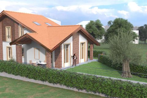 Terra a Cannobio, Verbano Cusio Ossola, Cannobio - € 240.000 | Ref: V000846 - foto 5