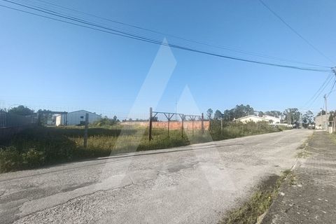 Helårsgrund i Eixo e Eirol, Aveiro, Eixo e Eirol - € 120.000 | Ref: 1012273/25 GL - foto 4