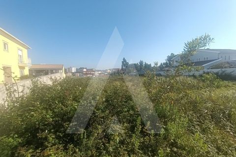 Helårsgrund i Eixo e Eirol, Aveiro, Eixo e Eirol - € 120.000 | Ref: 1012273/25 GL - foto 5