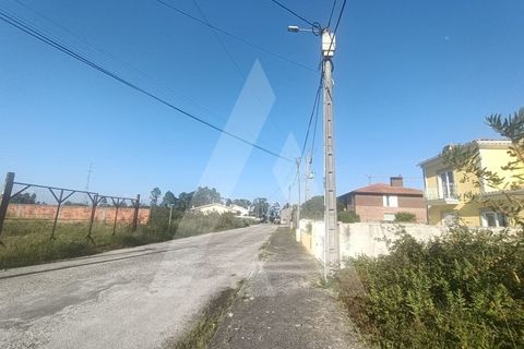 Helårsgrund i Eixo e Eirol, Aveiro, Eixo e Eirol - € 120.000 | Ref: 1012273/25 GL - foto 3