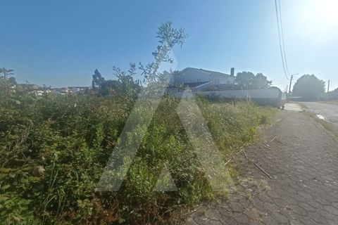Helårsgrund i Eixo e Eirol, Aveiro, Eixo e Eirol - € 120.000 | Ref: 1012273/25 GL - foto 6