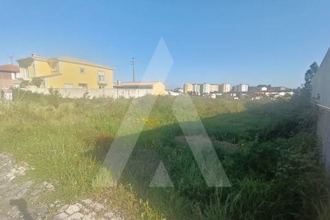 Helårsgrund i Eixo e Eirol, Aveiro, Eixo e Eirol - € 120.000 | Ref: 1012273/25 GL - foto 2