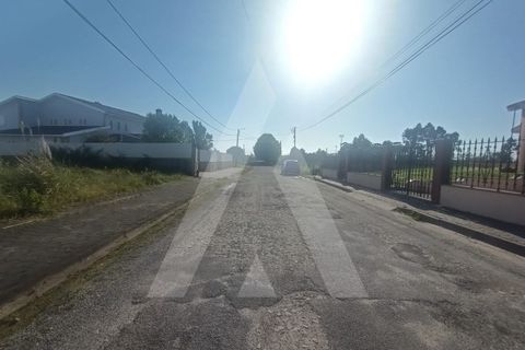 Helårsgrund i Eixo e Eirol, Aveiro, Eixo e Eirol - € 120.000 | Ref: 1012273/25 GL - foto 7