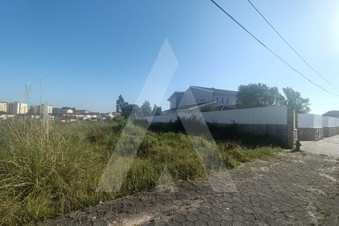 Helårsgrund i Eixo e Eirol, Aveiro, Eixo e Eirol - € 120.000 | Ref: 1012273/25 GL - foto 8