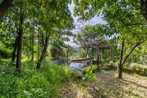 Byhus i Amares, Braga, Amares - € 280.000 | Ref: 211971 - foto 22