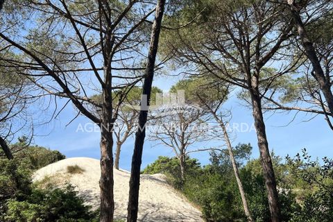 Villa i Alghero, Sassari, Alghero - € 2.000.000 | Ref: SAR572 - foto 35