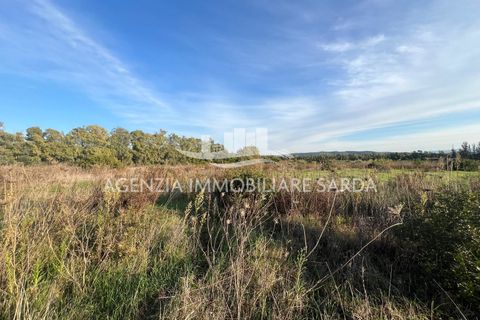 Villa i Alghero, Sassari, Alghero - € 2.000.000 | Ref: SAR572 - foto 42