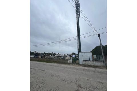 Helårsgrund i Quinta do Anjo, Setubal, Quinta do Anjo - € 480.000 | Ref: 9929 - foto 4