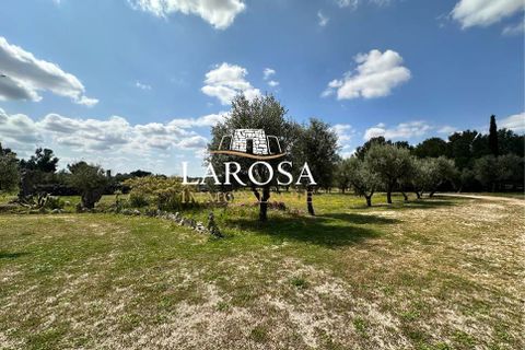 Villa i Vernole, Lecce, Vernole - € 500.000 | Ref: cod.090 - foto 33