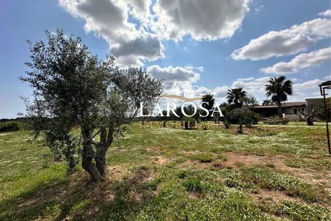 Villa i Vernole, Lecce, Vernole - € 500.000 | Ref: cod.090 - foto 39